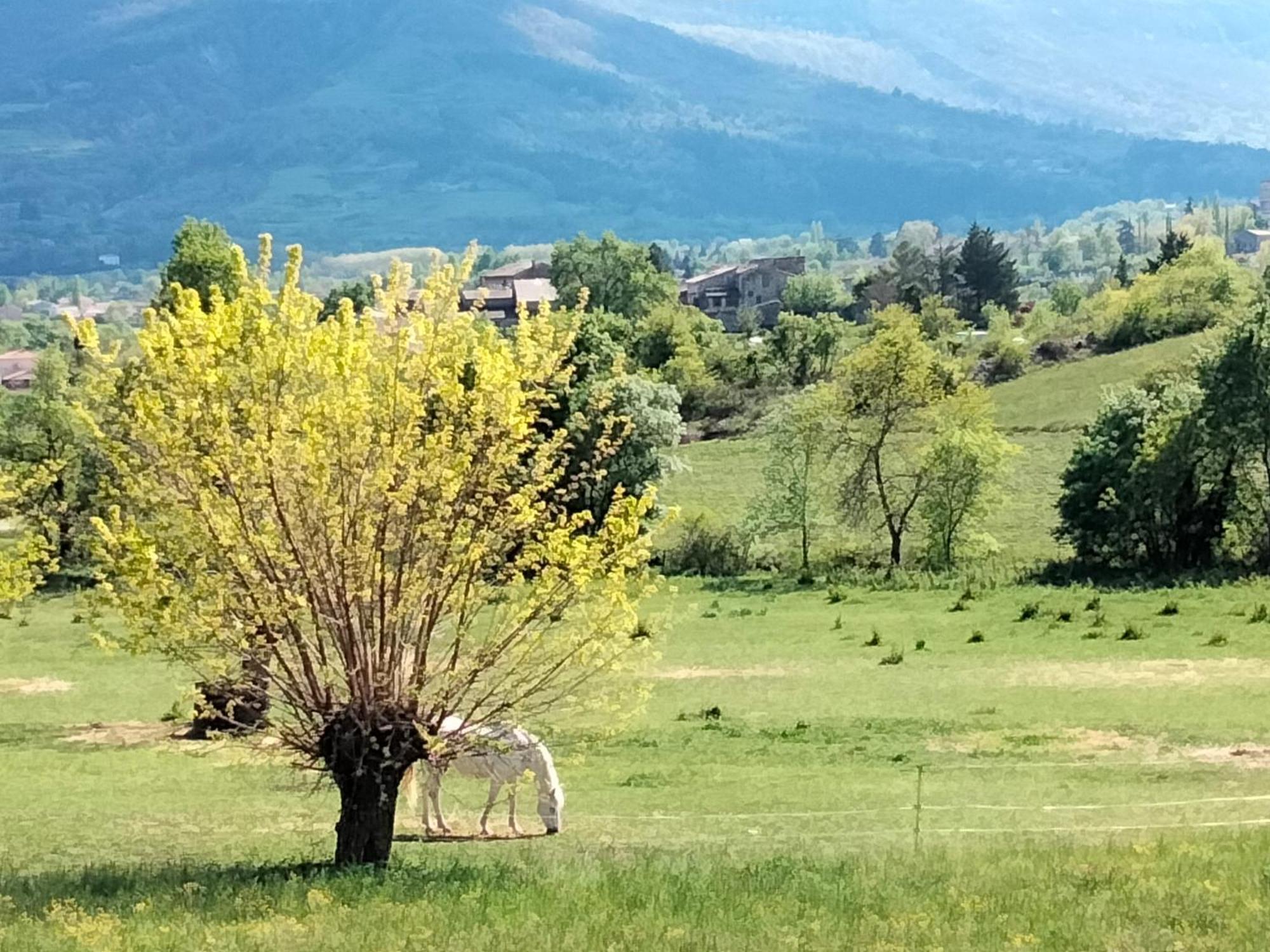 Chambre D'Hotes La Terrasse De Sabatas Chomérac Dış mekan fotoğraf